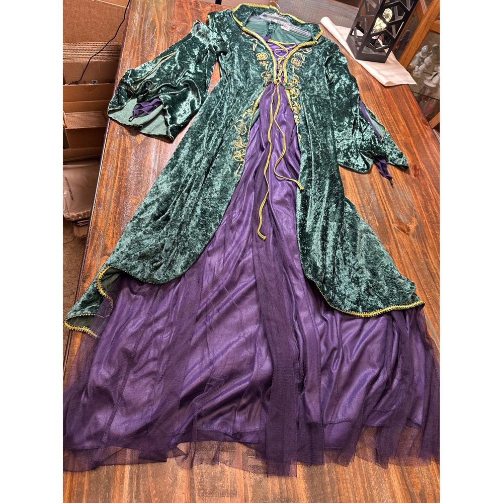 Disney Hocus Pocus Winifred Sanderson Costume Green Velvet Dress Plus 1X Spirit - Picture 1 of 14